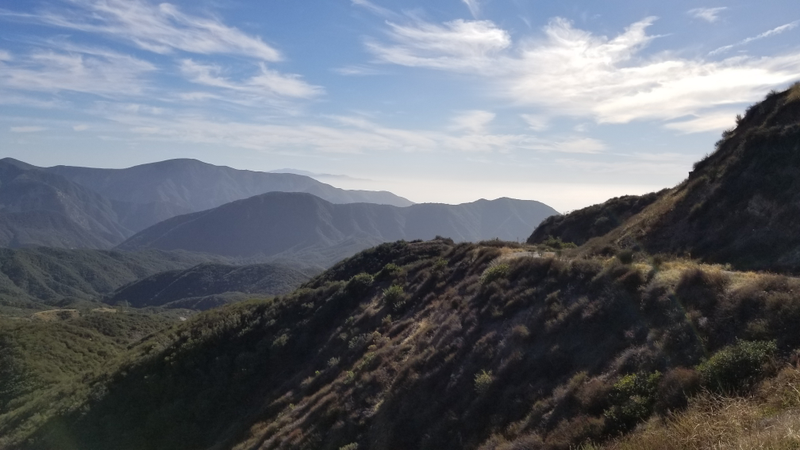 Lovely winter CA day